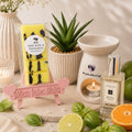 Lime, Basil & Mandarin scented wax melt snap bar from Miss Jules Melts & Crafts.